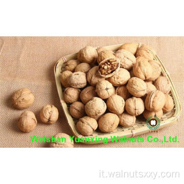 Kernel di noci cinesi dolci e croccanti pezzi leggeri (LP)